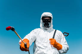 Outdoor Pest Control in Colma, CA